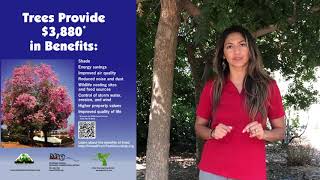 An introduction to the Inland Urban Forest Council