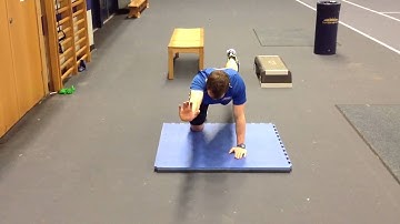 Quadruped (strong box) - opposite arm and leg extension