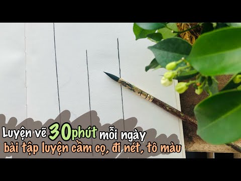 Video Luyện nét vẽ 30 phút mỗi ngày | bài tập luyện cầm cọ,... - youtube