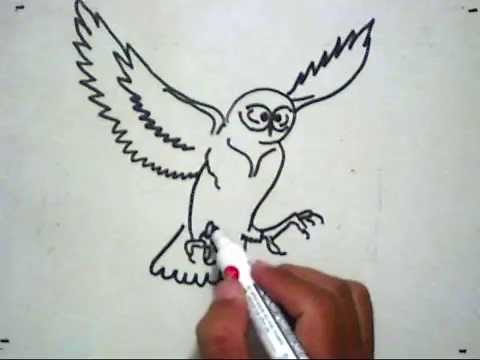 How to Draw An Owl (Cara Menggambar Burung Hantu) - YouTube