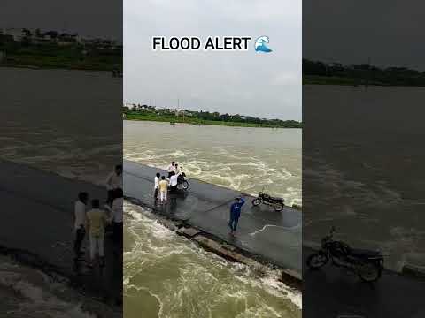 Majalgaon Dam Godavarifloods Floodalert Prayagraj Waterflow God Sea Travelvlog Traveling 