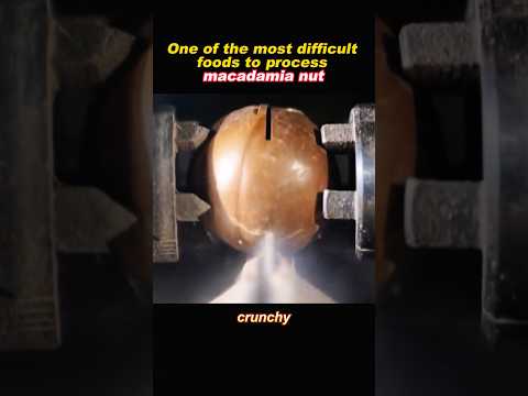 How To Process Macadamia Nuts Food Cooking Make Macadamianuts