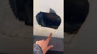 abris pour chat errant Mistou pour un hiver au chaud
