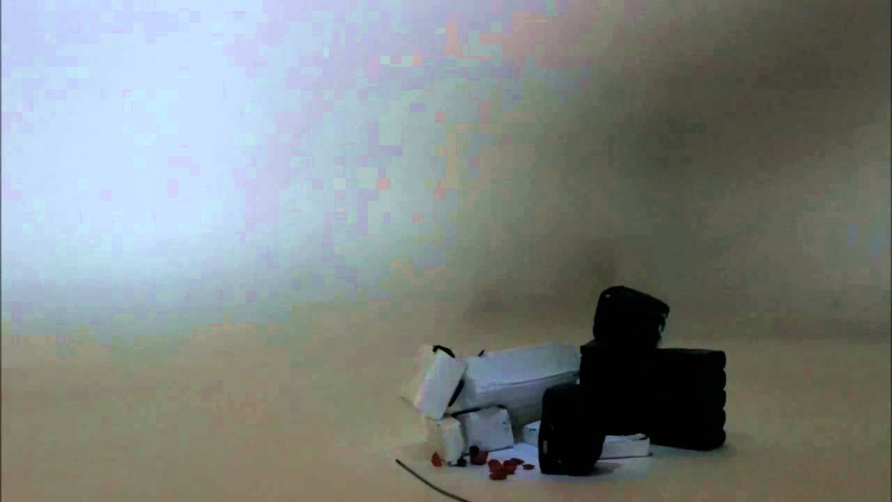 Porkette Meets Chris. P. Bacon by Sandra Kolacz 2013