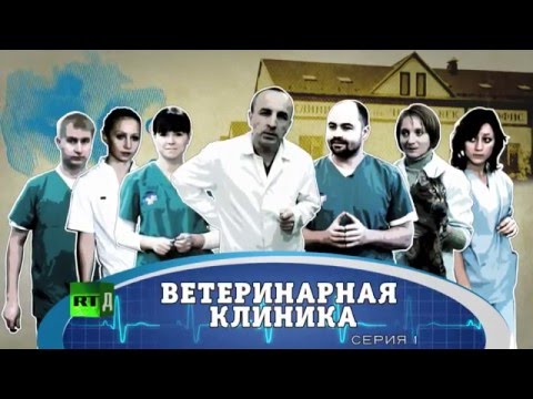 Ветеринарная клиника Первая серия Ветеринарная клиника Первая серия