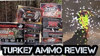 Ultimate Turkey Ammo Review.  Lead, Heavy Shot, and TSS.