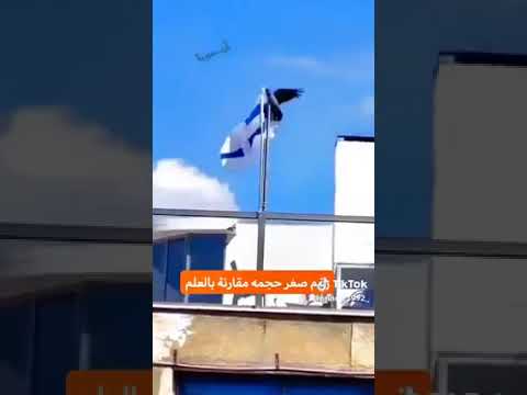 فلسطين باذن الله ربنا ينصركم يا فلسطيني خليك جامد انت اقوى منهم انت معاك ربنا هم معاهم ايه