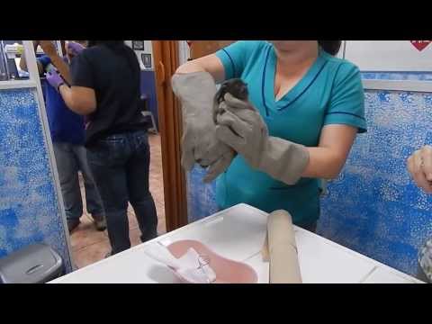 Medicina de vermes de crianças segundo as revistas