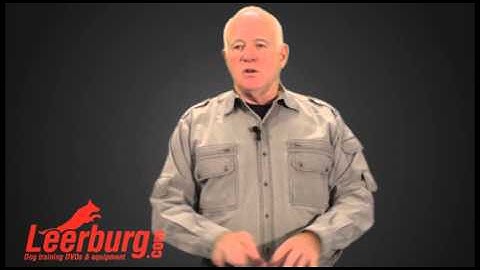 Remote Collar Level Setting Question