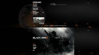 How to play cod black ops 2 on split screen pc