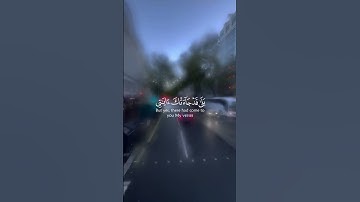 تلاوة خاشعة بصوت القارئ محمد هشام من سورة الزمر