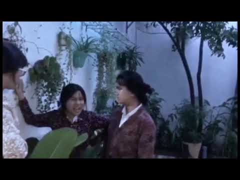 Video Văn học | Chủ đề: 