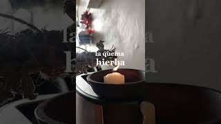 Cómo armar sahumos con hierbas  #hierbasaromaticas #tips