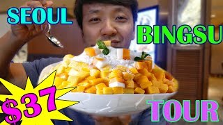 $37 Shaved Ice VS. $8 Shaved Ice in Korea (LUXURY Bingsu Tour)