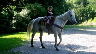 Picture 238.avi
