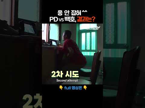 이번엔 제발 잡혀 주라... #애니멀봐 #shorts