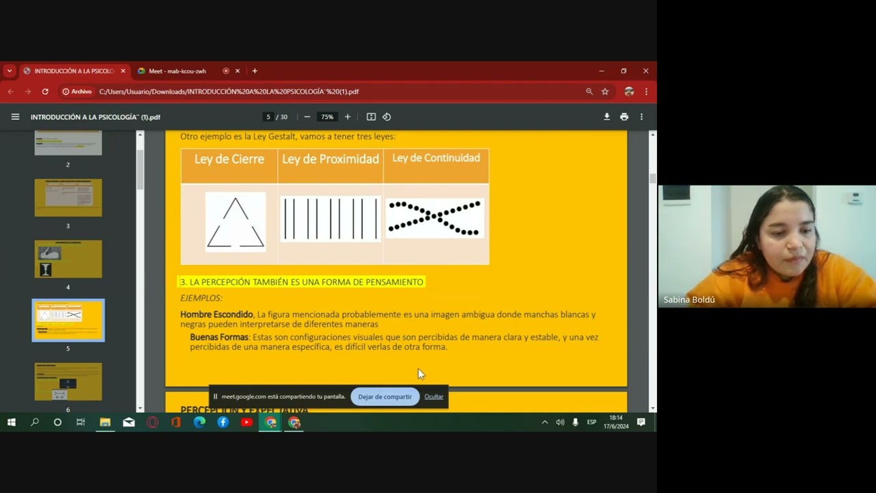 REPASO INTRO. A LA PSICOLOGÍA: SEGUNDO PARCIAL