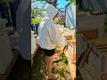 Homestead beekeeping: Sometimes I  need some help. 😊😊