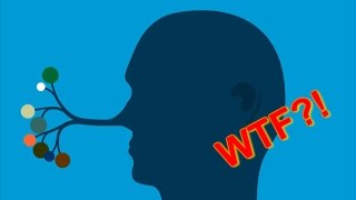 Famous OMG THIS GAME FREAKS ME OUT!! |  FeedTheHead Wealth