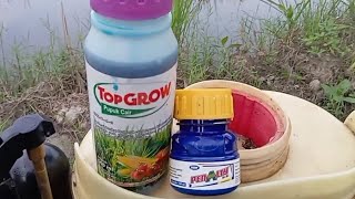 Pengkolaborasian Pupuk Cair TopGrow dan Fungisida Penalty pada Tanaman Jagung