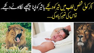 Khwab Ma Sher  Dekhne | Khwab Ma Mein Sher Dekhne Ki Tabeer | Daily Taleem