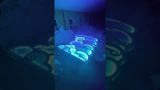 IMG 3984