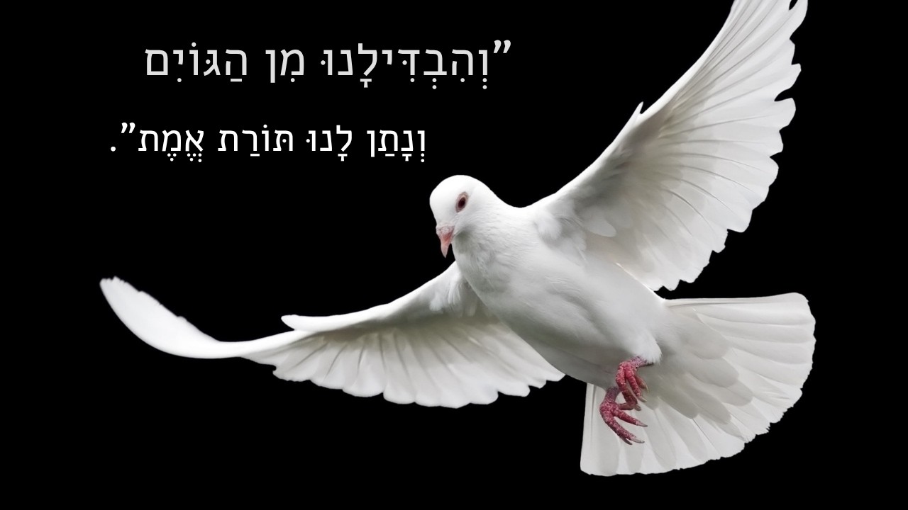 סוד התורה שבעל פה: מדוע הוסתרו סודות הגמרא מאומות העולם?
