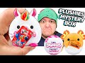 SNACKLES?! $240 VIRAL Food Plushies Mystery Box Unbox Review