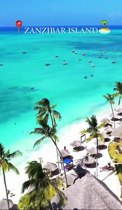 Do you know how Amazing Zanzibar Island at Tanzania?  #travel  #travelvlog  #traveling