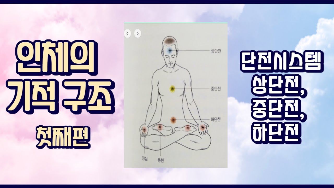 인체의 기적 구조 첫째편 - 단전 시스템 : 상단전, 중단전, 하단전을 소개합니다 - YouTube