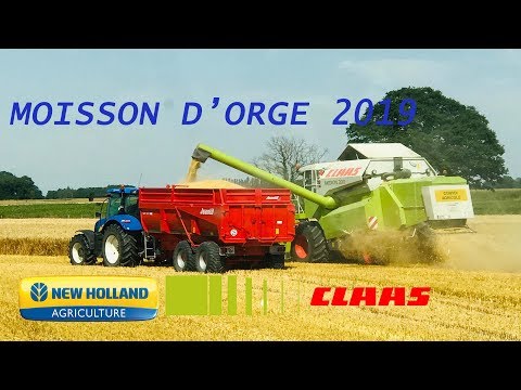🇫🇷. MOISSON D'ORGE
