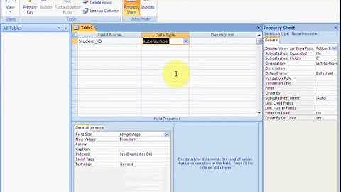 MS Access 2007 Part3   Urdu Tutorial by Irfan Wazir Ali