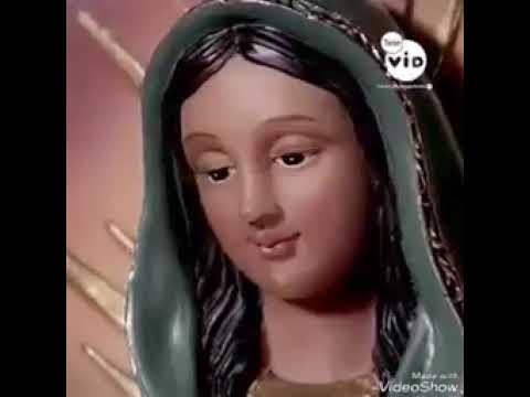 ترنيمة ناديتك يا عدرا يا أم الحنون