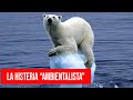 No, los osos polares no se están extinguiendo