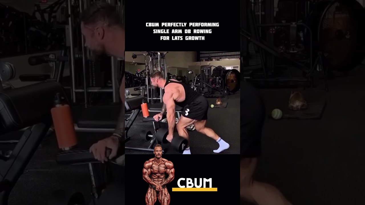 Cbum: Лучший способ выполнять греблю гантелями одной рукой 