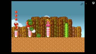 Super Mario Bros 2 - World 2-2