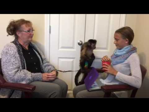 Monkey interview - YouTube