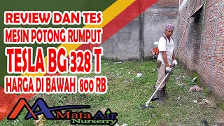 REVIEW DAN TES MESIN POTONG RUMPUT TESLA BG 328T HARGA DI BAWAH 800K HASIL MANTAP REVIEW DAN TES MESIN POTONG RUMPUT TESLA BG 328T HARGA DI BAWAH 800K HASIL MANTAP