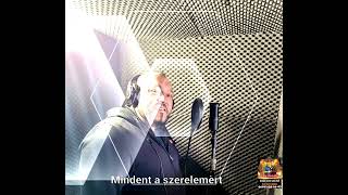 Video thumbnail of "SERES KRISZTIÁN-2022-MINDENT A SZERELEMÉRT(COVER)(OFFICIAL MUSIC AUDIO)"