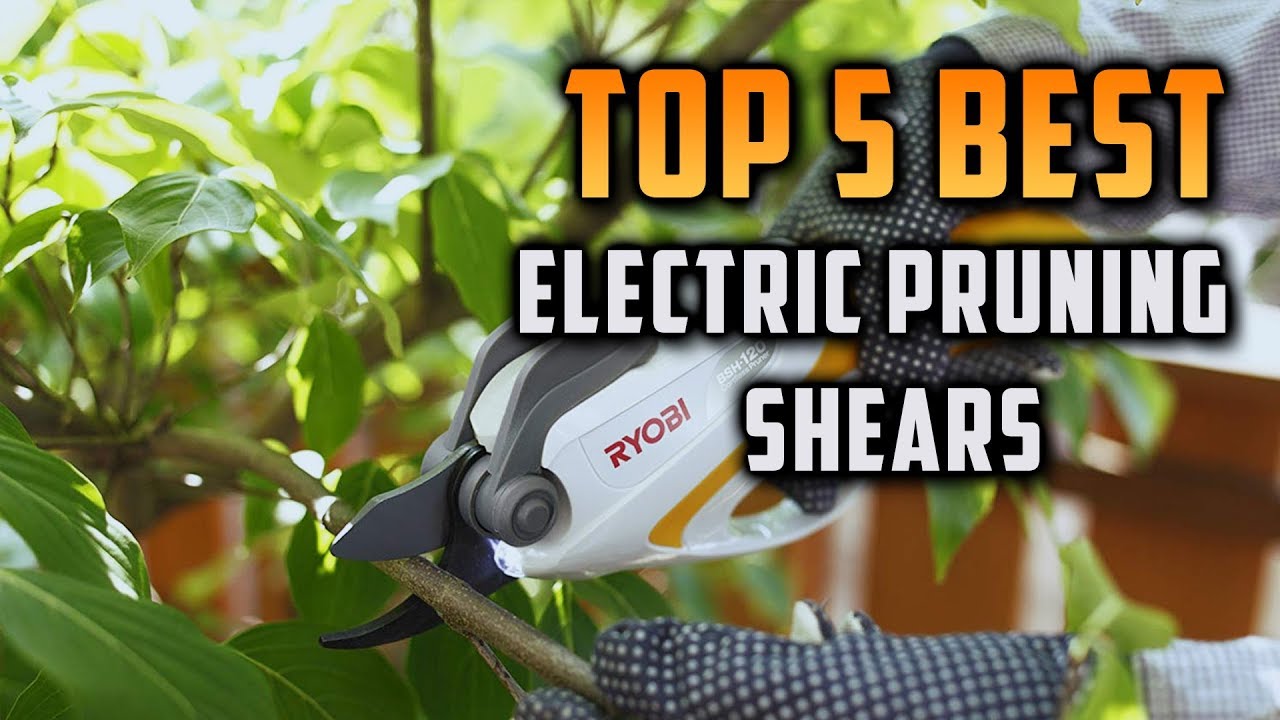 Top 5 Best Electric Pruning Shears