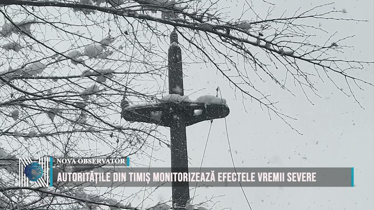 Autoritățile din Timiș monitorizează efectele vremii severe Autoritățile din Timiș monitorizează efectele vremii severe