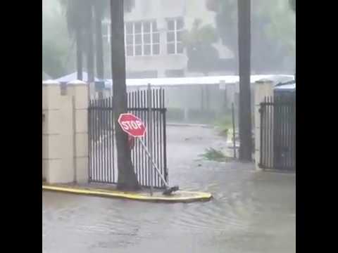 Hurricane Irma - Jackson Memorial Hospital - Miami Florida 9/10/2017