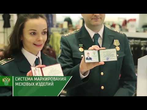 Центральное таможенное управление