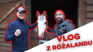 Odwiedziny w Różalandzie | Różal po przegranej walce