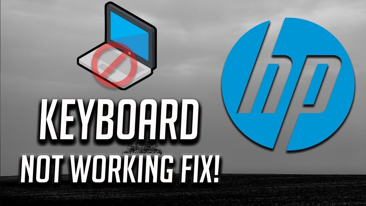 Fix Hp Keyboard Not Working Windows 10 8 7 3 Solutions 21 Youtube