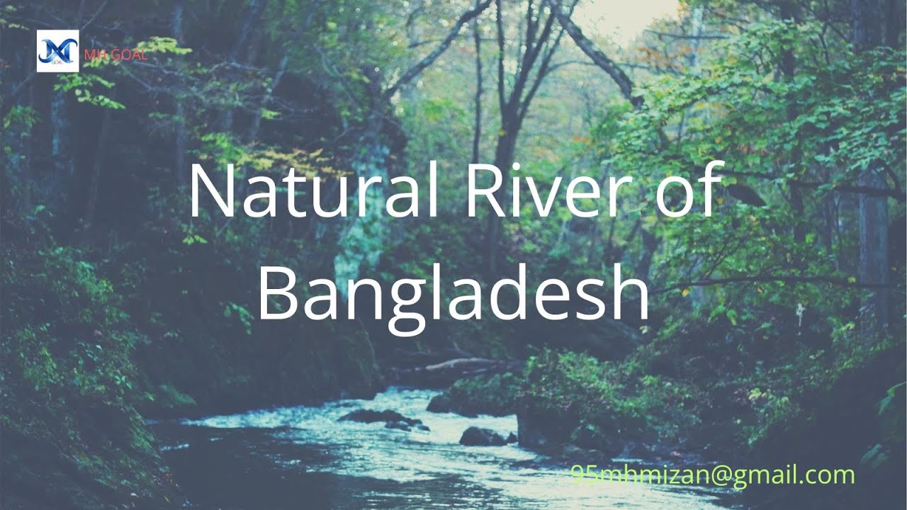 Beautiful Natural River Sounds for Relaxation  Calming Water Flow, Forest Ambience & Nature 4K Video