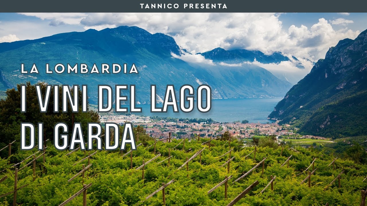 I vini lombardi del Lago di Garda la DOC Lugana e Ca' Maiol | Tannico
