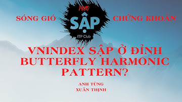 Sóng gió chứng khoán: VN-index sập ở đỉnh Butterfly Harmonic Pattern | Anh Tùng - Xuân Thịnh