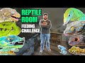 Reptile room feeding challenge lizards snakes frogs and arachnids