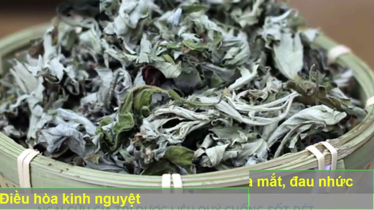 Công dụng của ngải cứu khô
